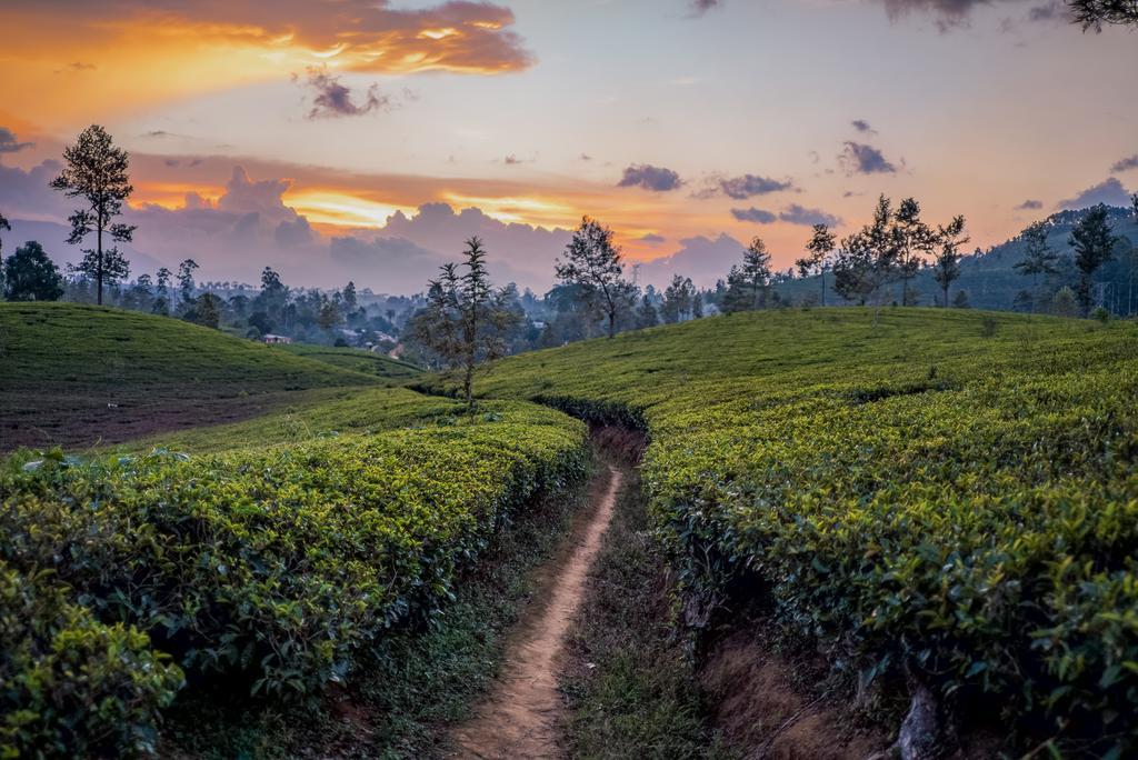 Langdale Boutique Hotel By Amaya Nuwara Eliya Bagian luar foto